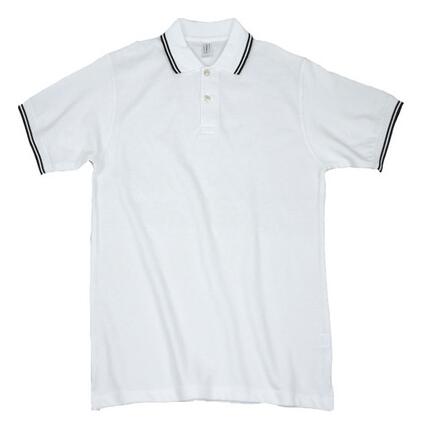 ������߶���POLO����